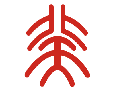 旅游网站建设方案